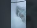 Massive Cargo Ship Crushed by Monster Waves #maritime #disaster #waves