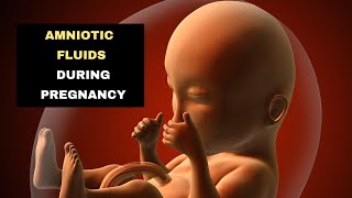 Amniotic Fluid during Pregnancy | Levels and Functions of Amniotic Fluid in Pregnancy