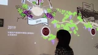 z amusement park,3d interactive wall,interactive projector screen games,Chinese Manufacturer screenshot 2