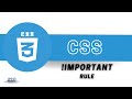CSS Important Rule // CSS Important Rule in Nepali // Learn CSS in Nepali #20