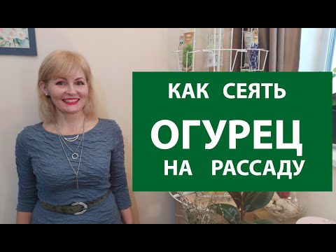 Вопрос: Когда лучше сеять семена огурцов на рассаду весной 2020 года?