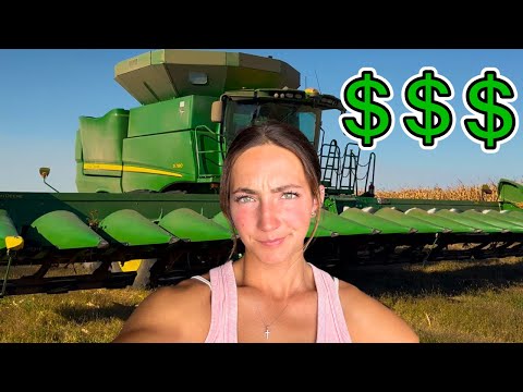 Is Harvesting MILLIONS