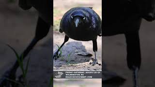 DEAD CROW COMEDY ROOM – WILMINGTON, NC – AUGUST 28-29