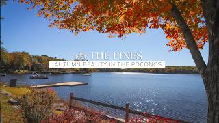 Colors of the Wind - A Vibrant Woodloch Autumn