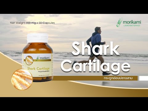กระดูกอ่อนปลาฉลาม Shark Cartilage โมริคามิ ลาบอราทอรีส์ morikami LABORATORIES