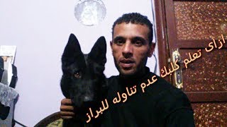 Download اسباب ان كلبك ياكل البراز الخاص بيه وازاى تبعده عن هذا السلوك السئ Mp3 Download اسباب ان كلبك ياكل البراز الخاص بيه وازاى تبعده عن هذا السلوك السئ Mp3