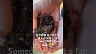 Bat Guano Is The Best