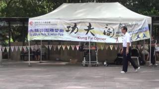 香港功夫表演201610091