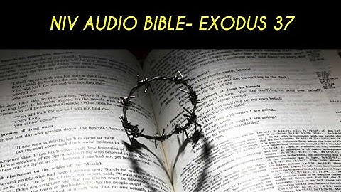 EXODUS 37 NIV AUDIO BIBLE (with text)