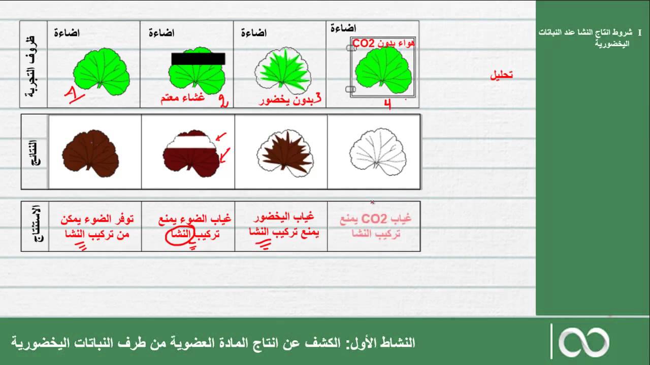 طبيعة المادة العضوية وأصنافها