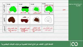 اولى باكالوريا علوم الحياة و الارض | الحصة 9:الكشف عن انتاج المادة العضوية من طرف النباتات اليخضورية