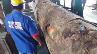 Serrando Uma Torinha De Angelim Parte1