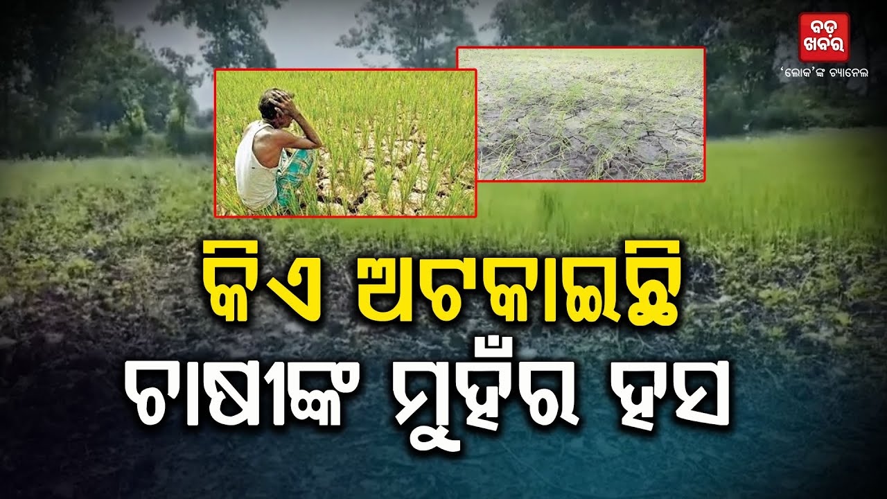 କିଏ ଅଟକାଇଛି ଚାଷୀଙ୍କ ମୁହଁର ହସ || Kalahandi Farmer Issue || BADAKHABAR TV