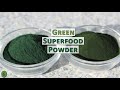 Spirulina VS Chlorella, Which One Should You Take?