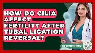 How Do Cilia Affect Fertility After Tubal Ligation Reversal? - Fertility Support Channel