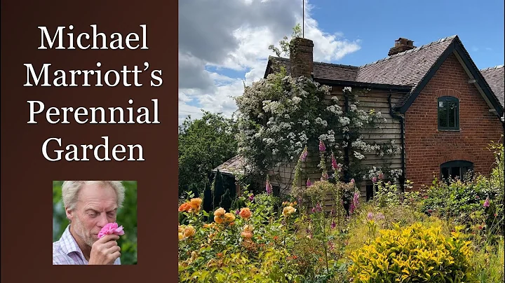 UK Michael Marriott's Personal Perennial Garden Wa...