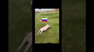 Ситуация на Донецком направлении