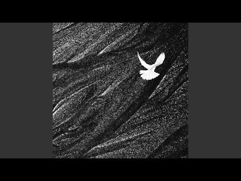 Ver congratulations en YouTube Ver congratulations en YouTube