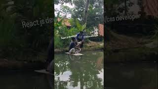 Reactjs vs HTML Developer 🤣 #coding #frontend #frontendcourse #frontenddevelopment #viralvideo