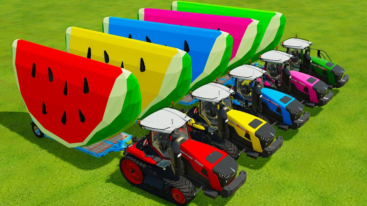 LOAD & TRANSPORT GIANT WATERMELONS w/ FENDT TRACTORS Farming