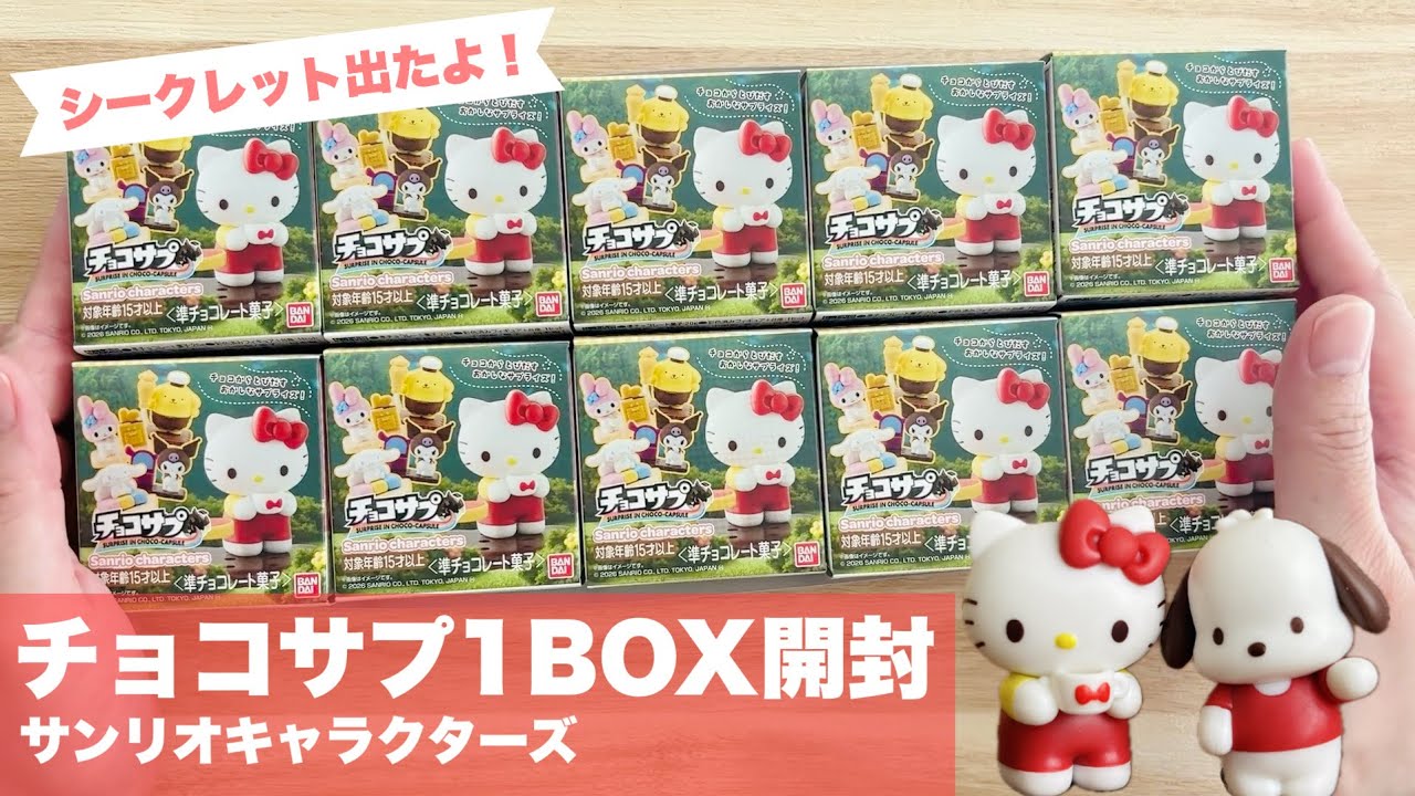 Review] Choco-Sup Sanrio Characters - Opening 1 Box [Secret] - YouTube