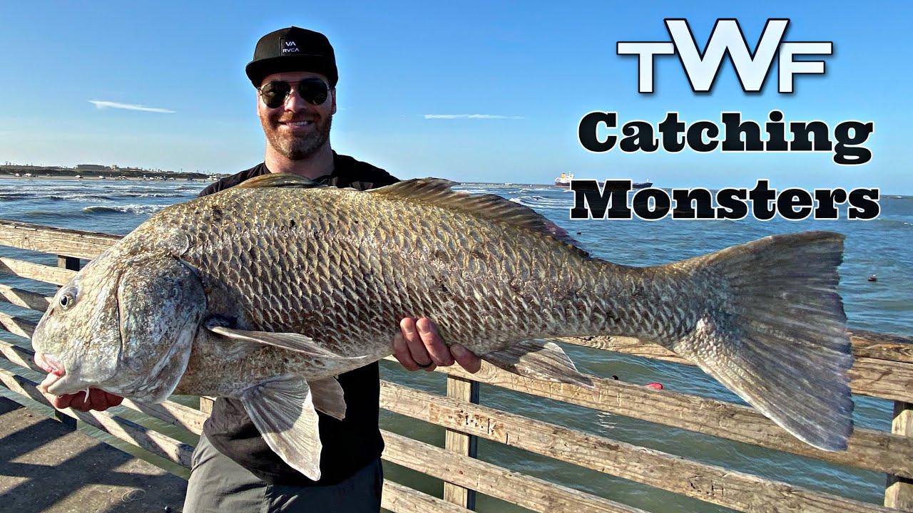 Horace Caldwell Fishing Pier Port Aransas Texas Fishing YouTube