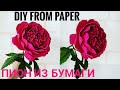 МК как сделать ПИОН из гофрированной бумаги, цветы из бумаги, DIY from paper, crepe paper peony