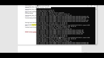 RAMAN Database Backup and restore Oracle #raman #backup