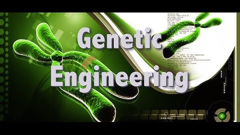 HSC ICT Lecture 8 | Genetic Engineering, Nano Technology, Biometrics & Bio-informatics