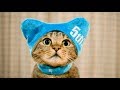 はな５。-Hana 5.-