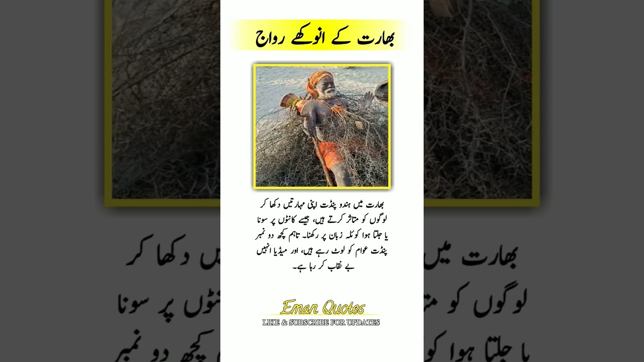 4 Life-Changing Quotes for Daily Motivation 