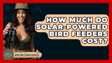 How Much Do Solar-Powered Bird Feeders Cost? - Bird Watching Diaries