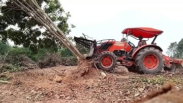 Tractors pushing trees in the forest are very powerful