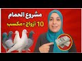 أسرار إنتاج الزغاليل 10 أزواج حمام تحقق دخل ثابت تربية حمام في بلكونتك 