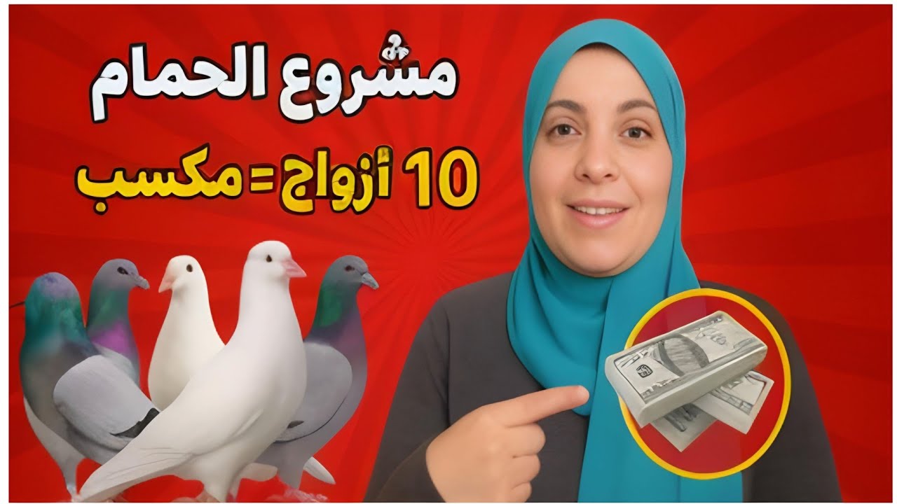 أسرار إنتاج الزغاليل – 10 أزواج حمام تحقق دخل ثابت