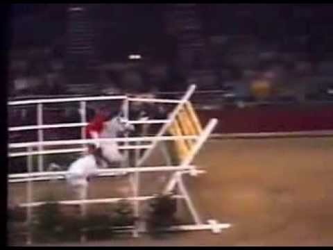 World Record   Horse High Jump 2 32 meters