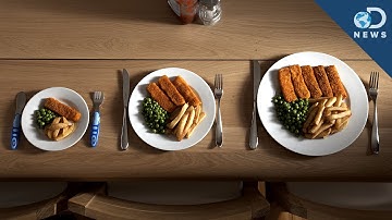 The Reason Portion Size REALLY Matters!