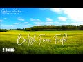 Farm field background with windy green grass  british countryside  calm relaxing music