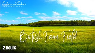 Farm Field Background Video with Windy Green Grass | British Countryside - Calm Relaxing Music screenshot 5