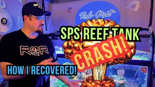 SPS Reef Tank Crash!!! How I Recovered!