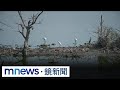 環境永續行動