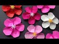 折り紙 梅の花 簡単な折り方 Origami Flower plum tutorial（niceno1）