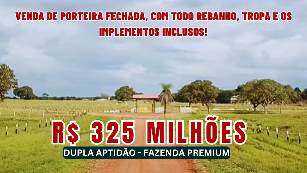 Fazenda Gigante no Tocantins com 17 530 HA – Dupla Aptidão, PORTEIRA FECHADA
