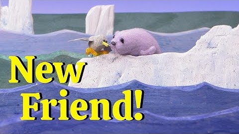 SEAL AND THE SEABIRD - a MR WOOKA puppet show - nanalan