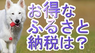 換金性の高いふるさと納税特典はあるのでしょうか[週株]