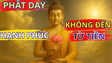 Lời Phật Dạy: Hạnh Phúc Thật Sự Không Đến Từ Tiền Bạc Danh Vọng