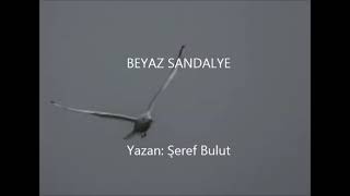 Beyaz Sandalye