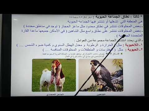 فيديو: ديناميكية وغزوة بالقرب من التلال بالقرب من شتوتغارت: Haus am Weinberg