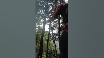 mikat burung rambatan dapat banyak part 1