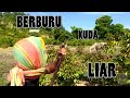 BERBURU KUDA LIAR BAGIAN II (FILM LA ONE MBOJO)